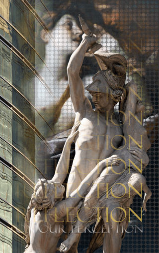 Reflection On Perception