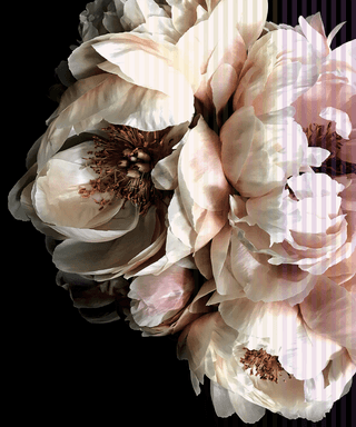 Floraly