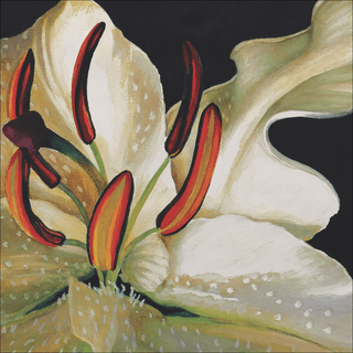Fleur De Nuit